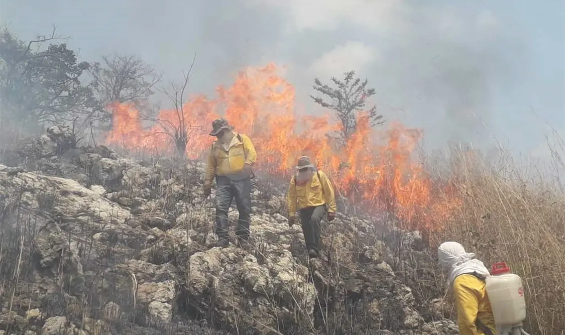 Incendios han devorado más de 3,700 hectáreas