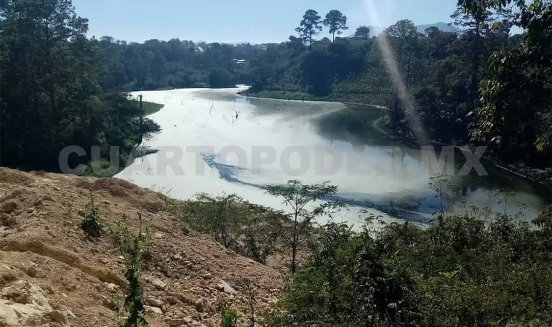 Piden evitar ecocidio en Altamirano