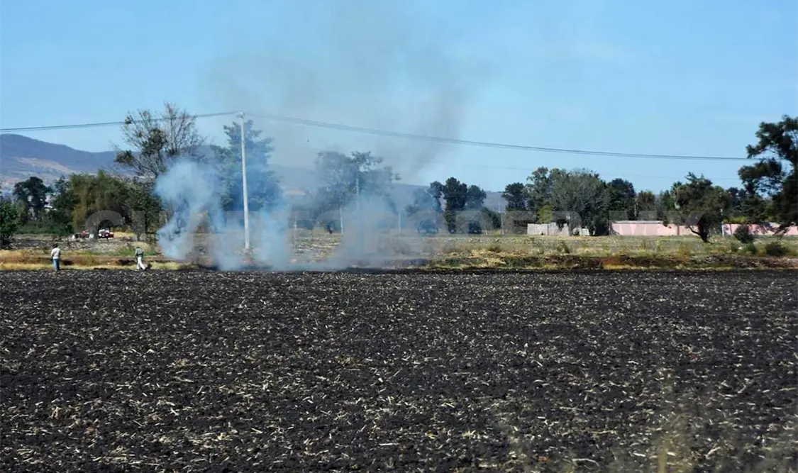 Incendios en la capital son intencionales