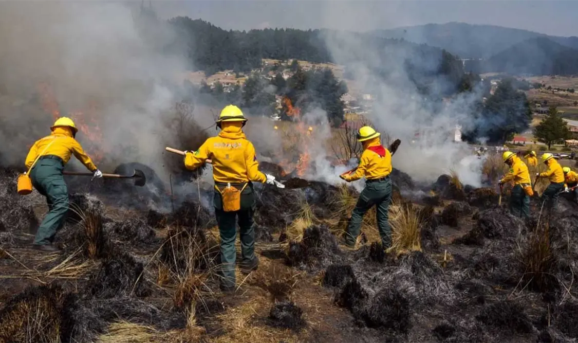 La sequía atípica incrementa la presencia y expansión de los incendios forestales en el territorio mexicano. Cortesía