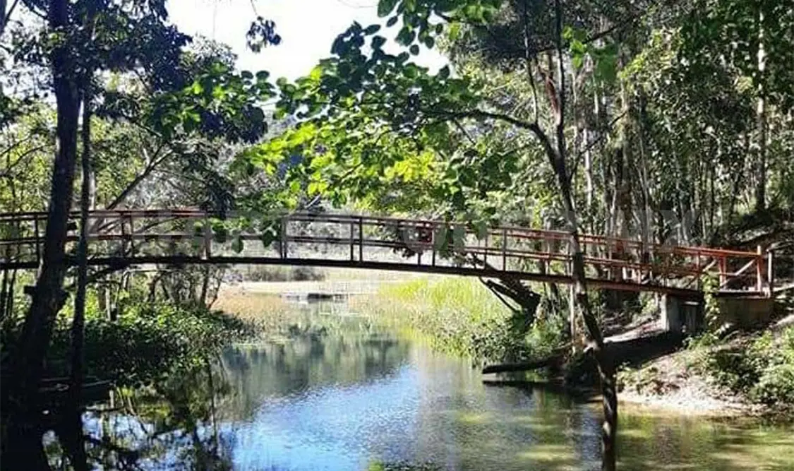 Pendientes por rehabilitar tramos carreteros