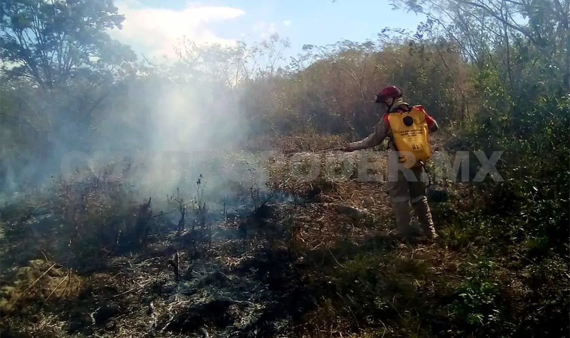 Municipios están obligados a evitar fuego en predios