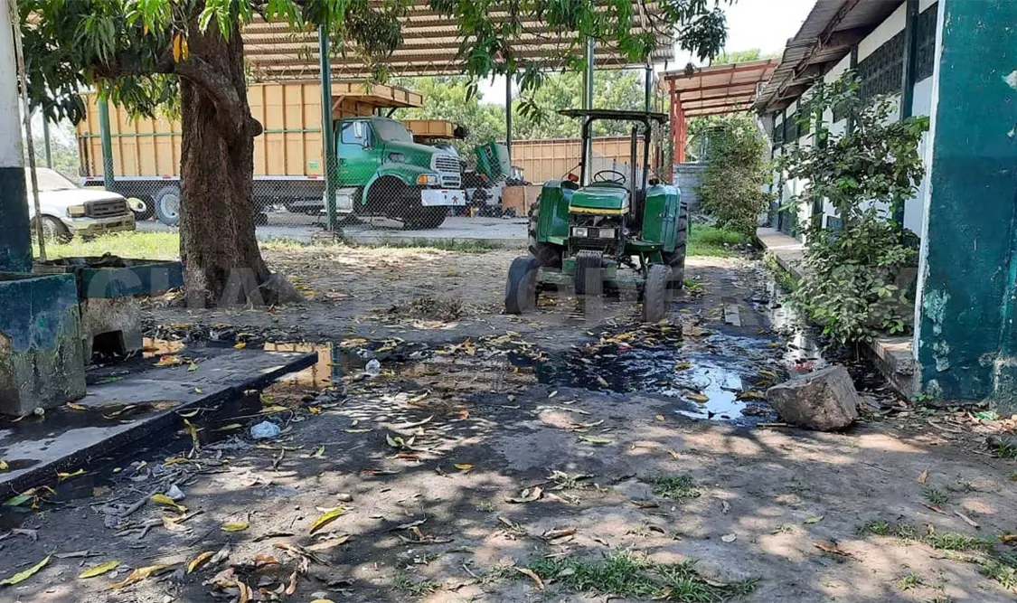 Vulneran DH y laborales de jornaleros guatemaltecos