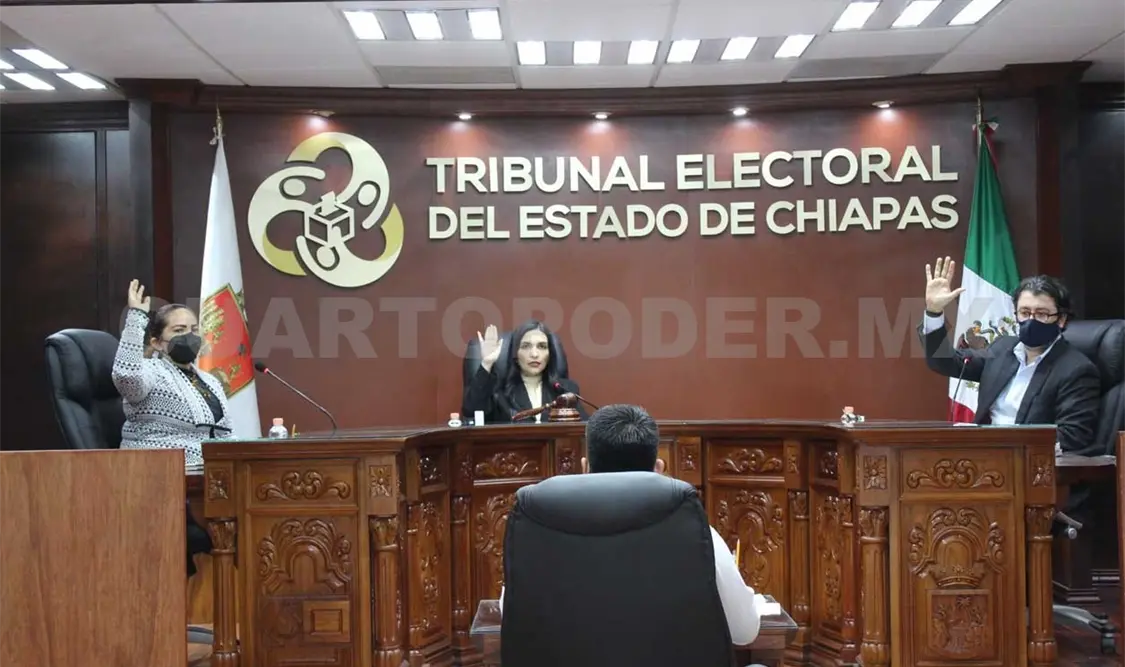 El pleno del tribunal electoral resolvió distintos expedientes sobre consanguinidad. Cortesía