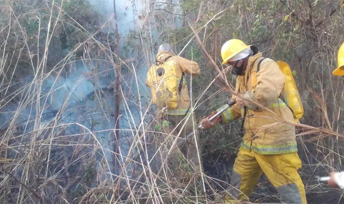 Chiapas se ubica en el tercer lugar nacional con mayor número de incendios en vegetación sensible. Cortesía