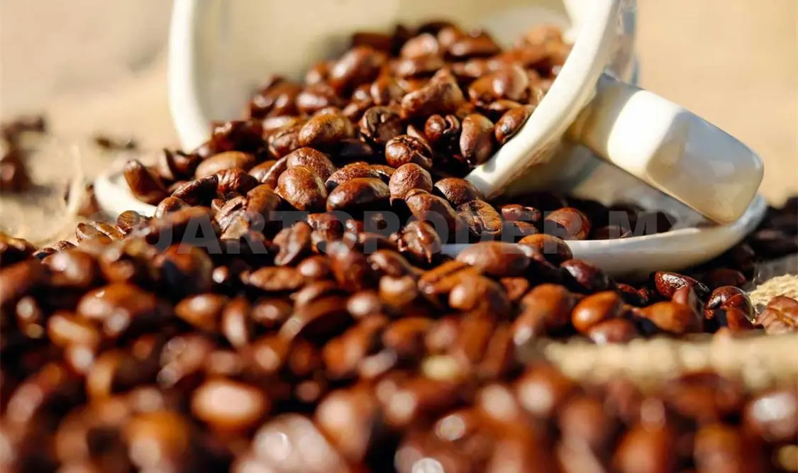 Renovación de plantas de café perfila ventas