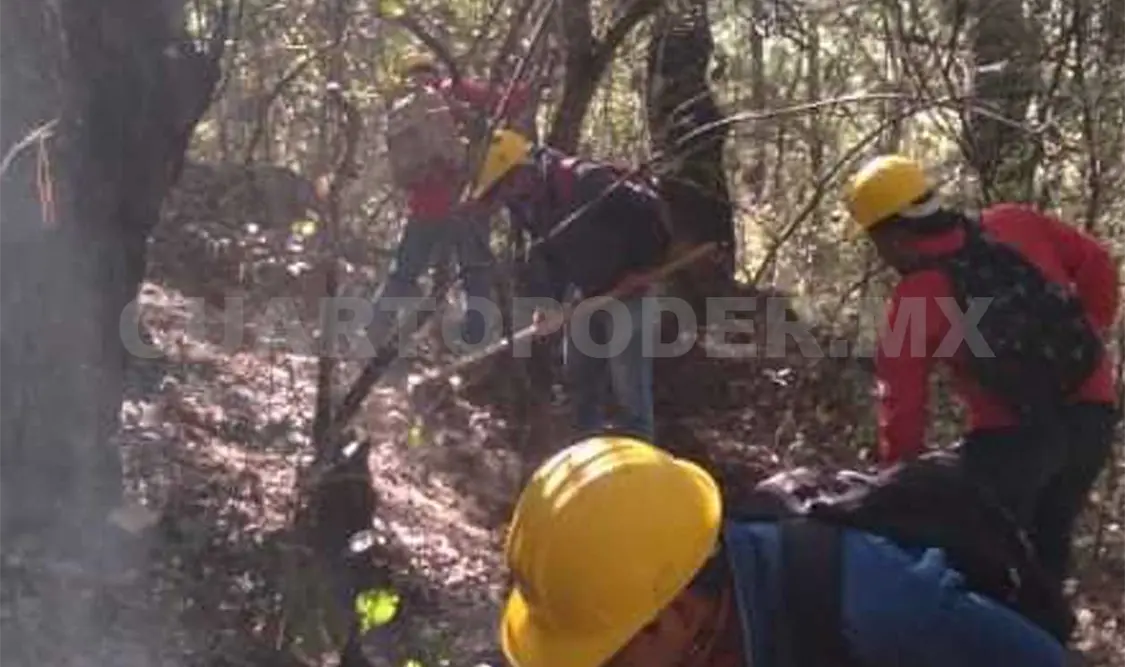 Tres hectáreas de bosques fueron dañadas por fuego