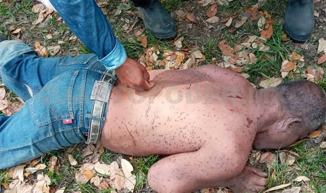 La persona quedó sin vida tirada sobre el suelo tras ser atacada por un enjambre cuando retornaba a su domicilio. Moisés Lorenzo / CP