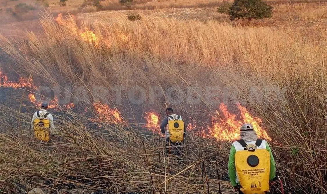 Casi mil 500 hectáreas se han quemado por incendios