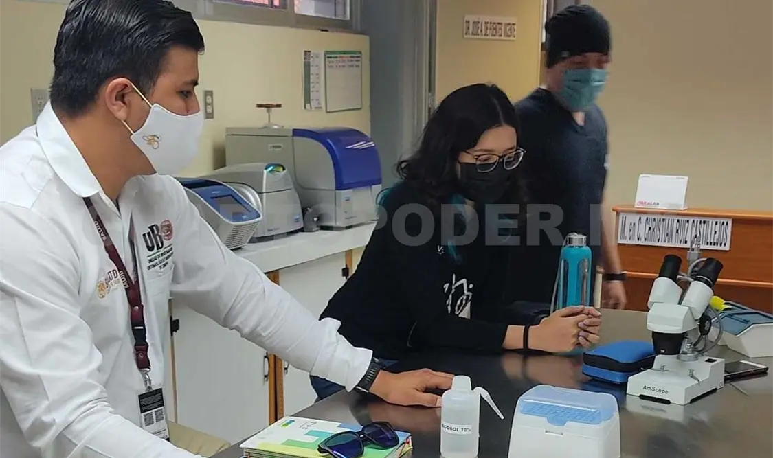 Impulsa estudio de insectos que causan zika, dengue y chikunguya