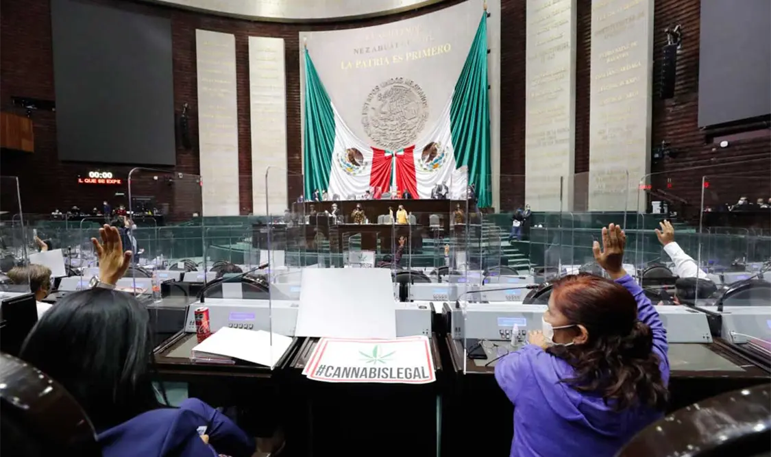 Piden criterios para amparos contra reforma eléctrica