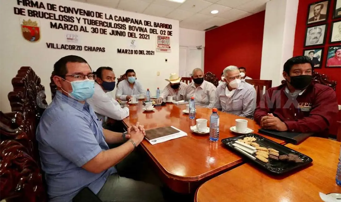 Analizarán 15 mil cabezas de ganado