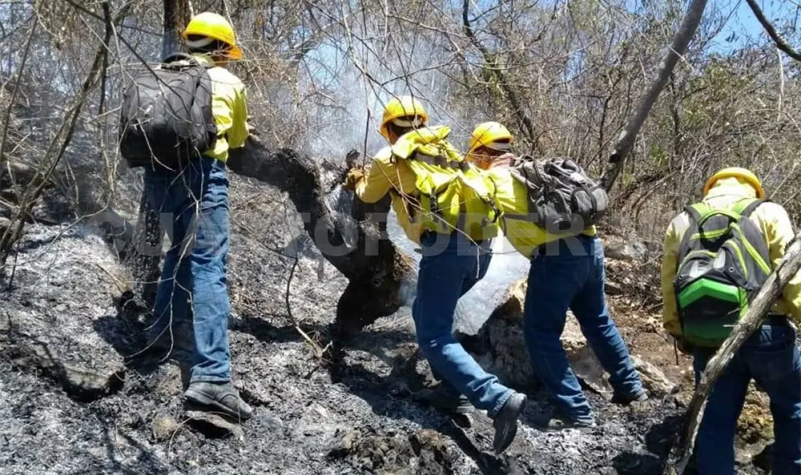Quemas agrícolas, causa de incendios forestales