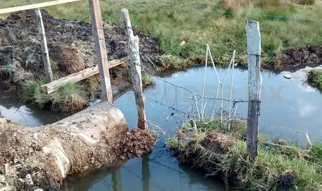En la invitación hacen un llamado a las autoridades para la conservación de los humedales de SCLC. Cortesía