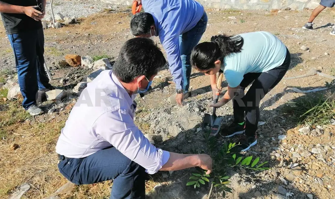 Reforestan parque público en la capital