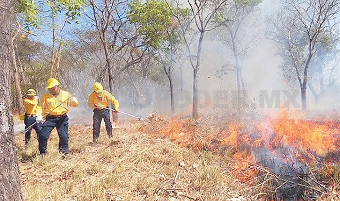 Siniestros forestales azotan la entidad