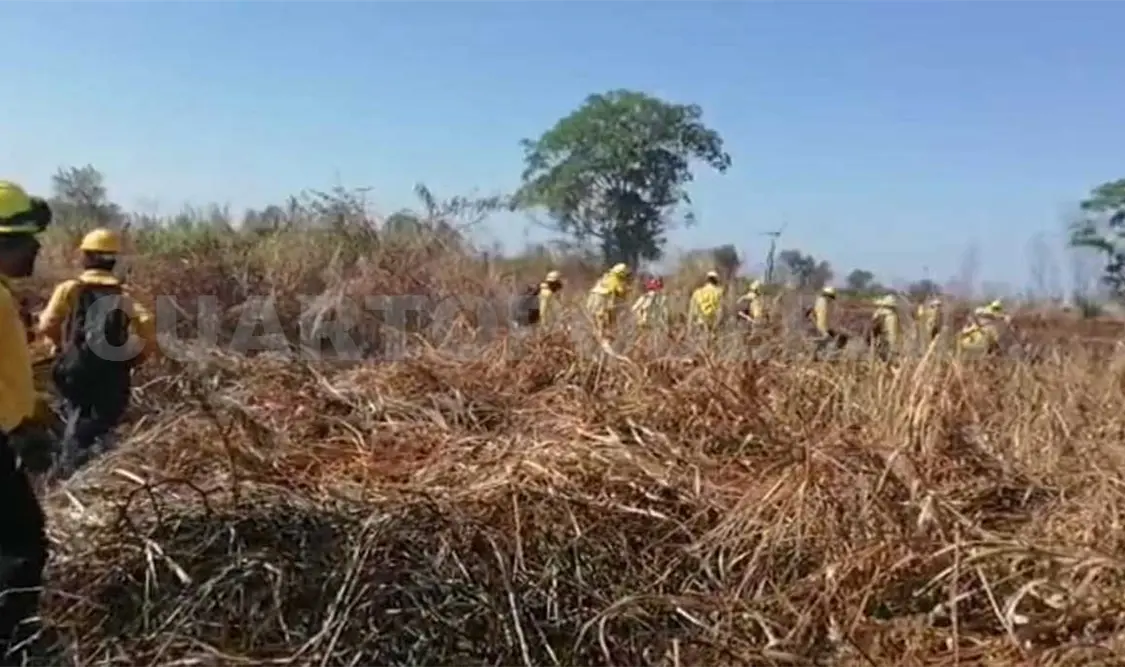 El incendio que se registró en la Reserva de la Biosfera La Encrucijada fue controlado en las últimas horas. Víctor Sánchez / CP