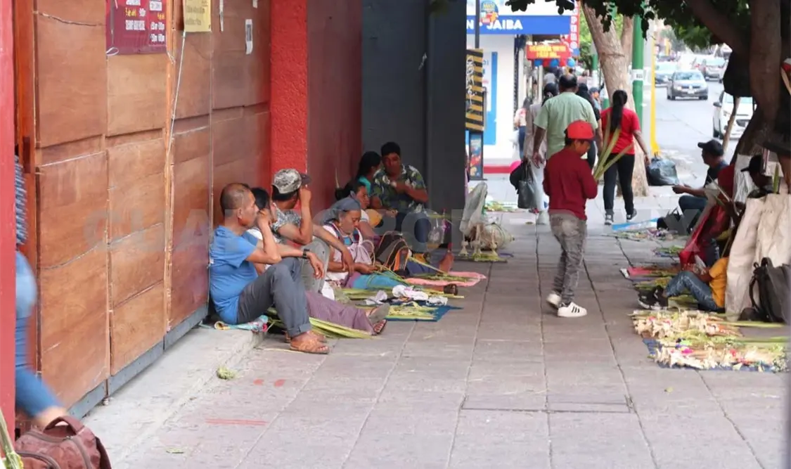 Venta ilegal de orquídeas en Domingo de Ramos