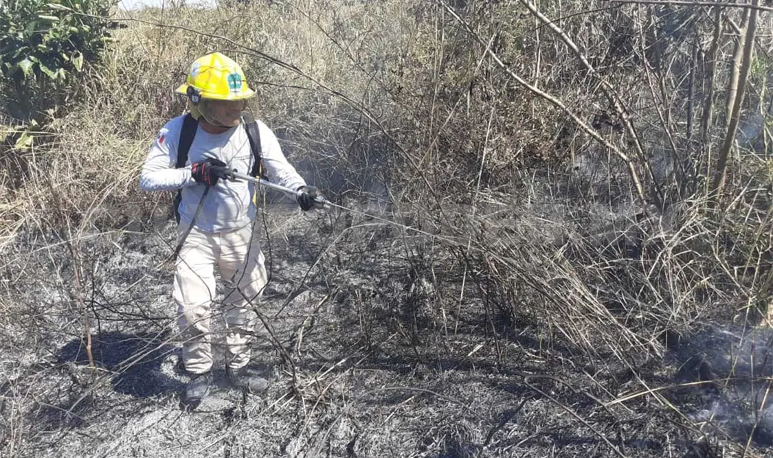 Incendios superan las 500 hectáreas afectadas