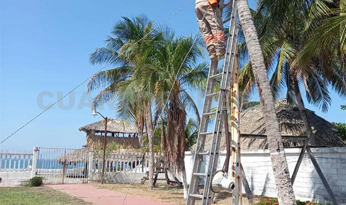 Realizan trabajos de limpieza y mantenimiento