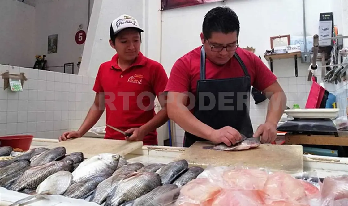 Piden tener cuidado con consumo de mariscos