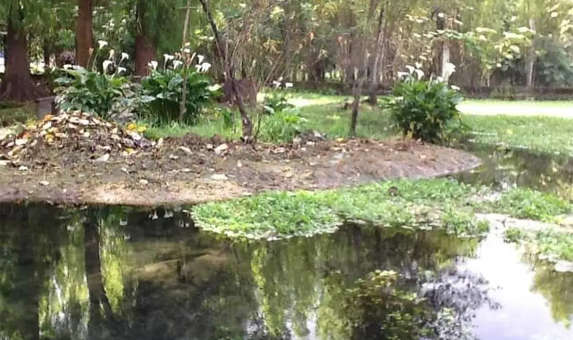 Manantiales se encuentran por debajo de su nivel