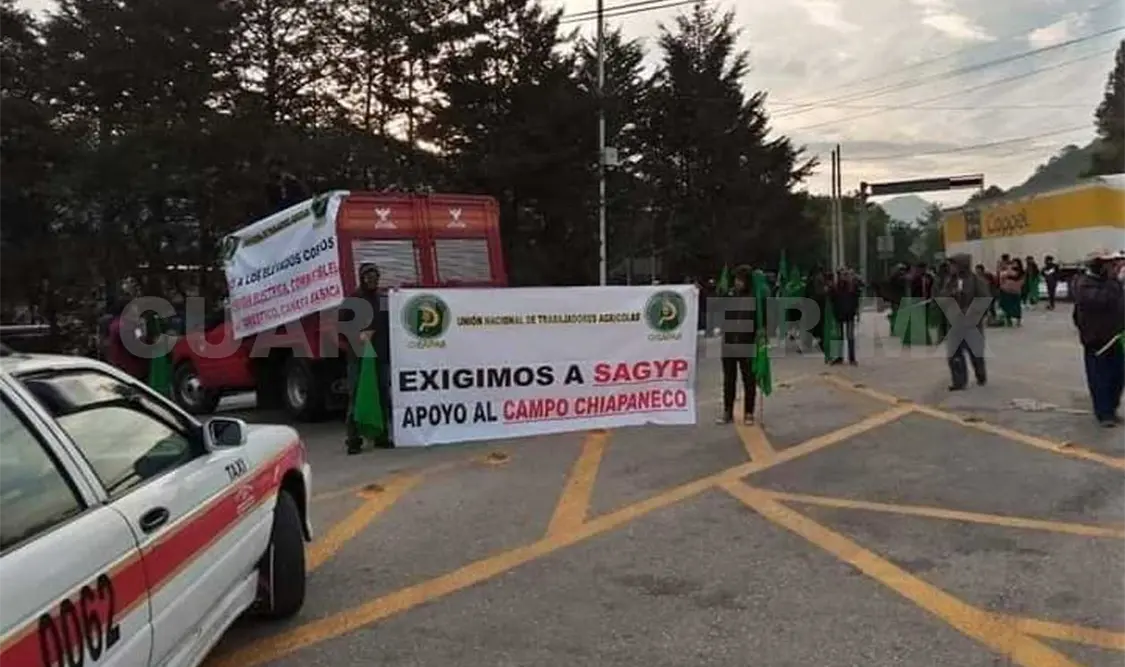 Exigen que Chiapas no quede fuera de apoyos