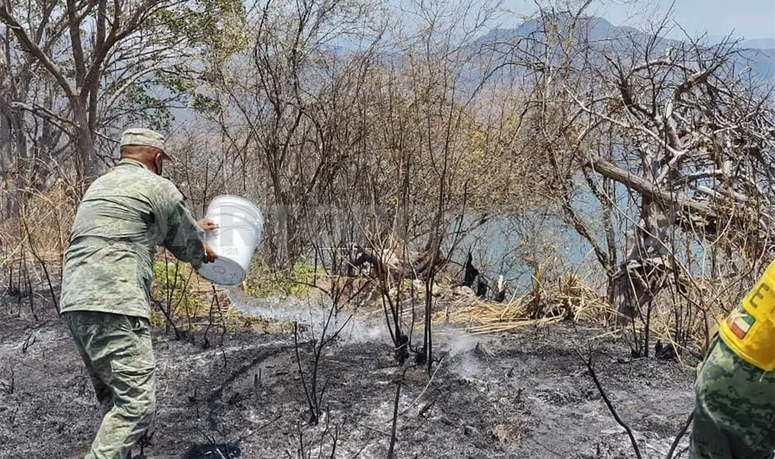 Personal militar realizó actividades de Plan DN-III-E para contener dos incendios que se suscitaron en diversas localidades. CP