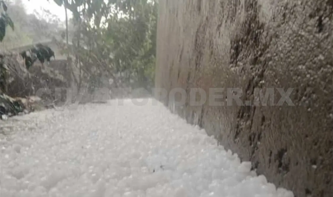 La tarde del pasado viernes se presentó una intensa lluvia y una fuerte granizada en comunidades del municipio de Tenejapa. Manuel Martínez / CP