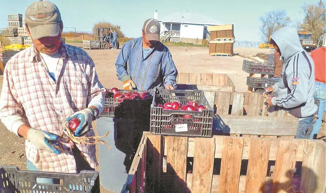 Iniciativa Bracero es ofensiva, señala Frente