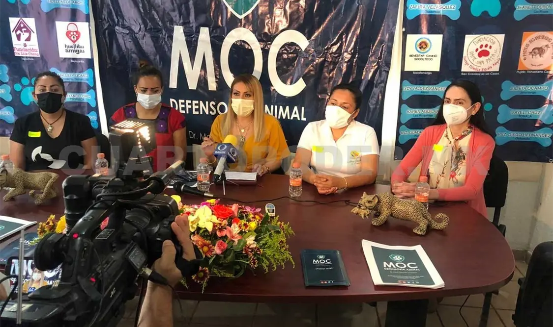 Piden cárcel para maltratadores