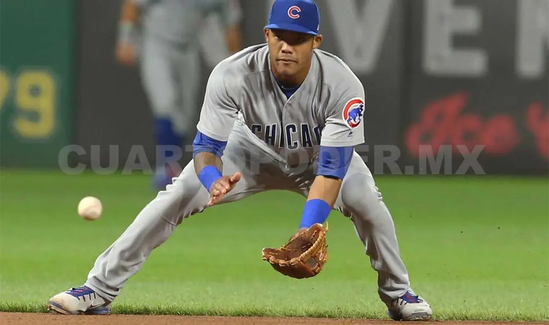 Ganador de Serie Mundial con Cachorros en la LMB