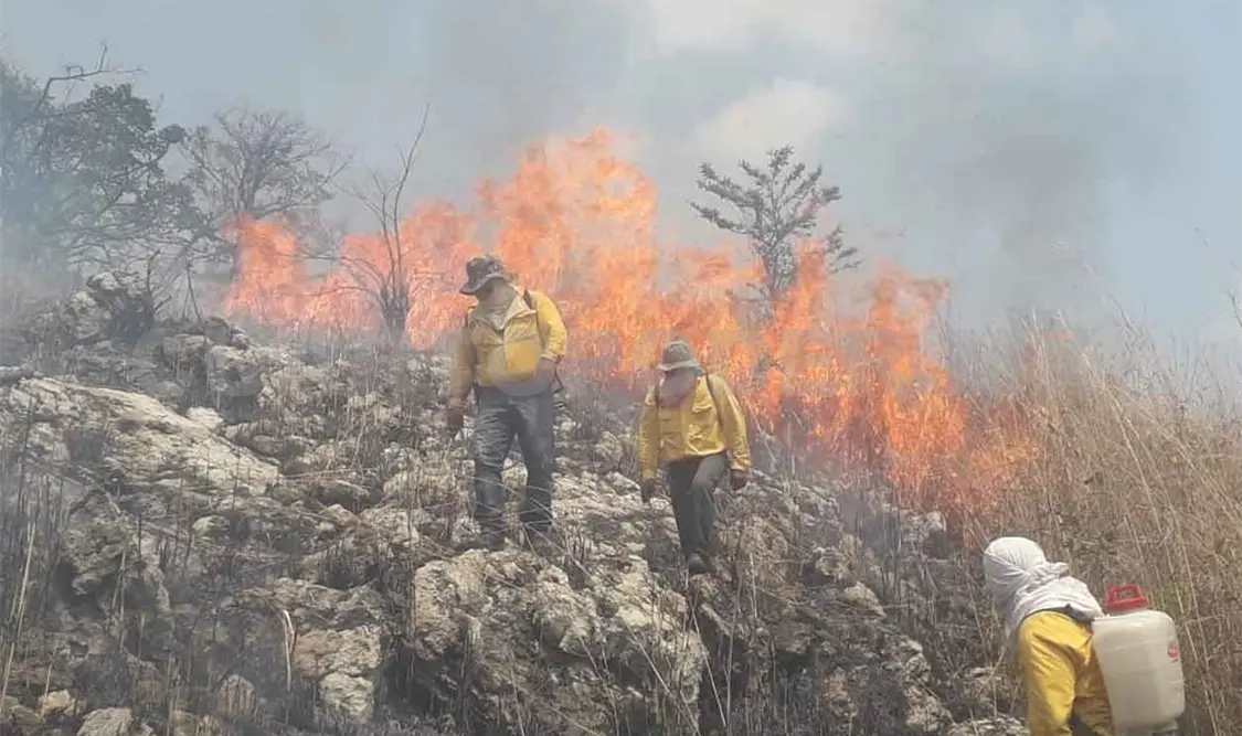 Incendios no ceden; 11 se mantienen activos