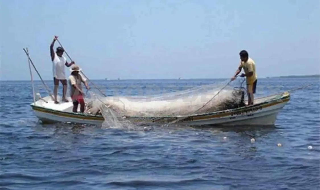 Abandonan pesca para hacer escobas de palma