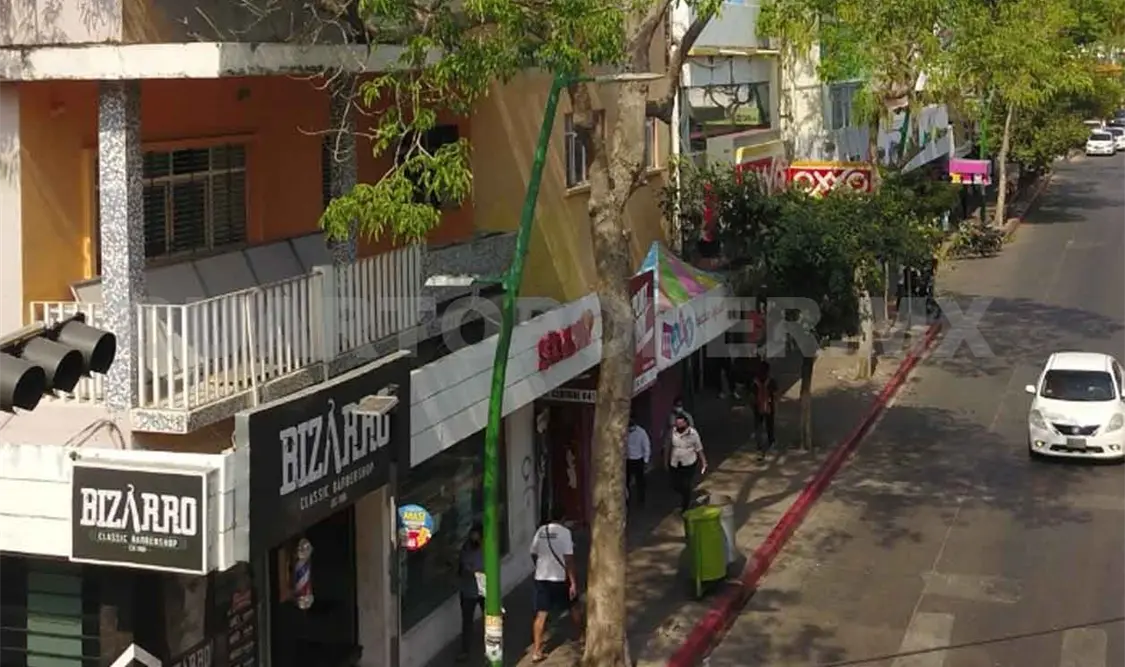 Intervienen árboles del centro para reducir riesgos