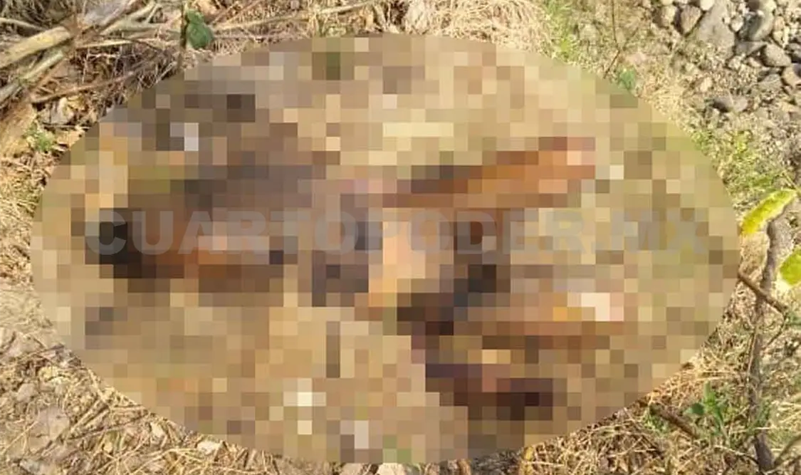 Estaba desaparecido y lo encontraron muerto