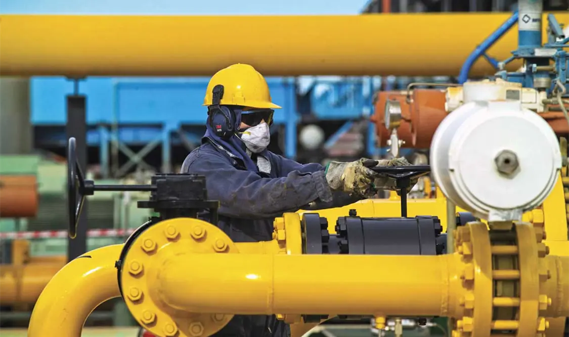 Escasez de gas natural pegará al sur