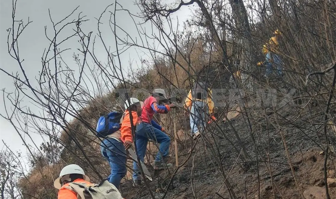 Continúan operaciones aéreas y terrestres para combatir incendios