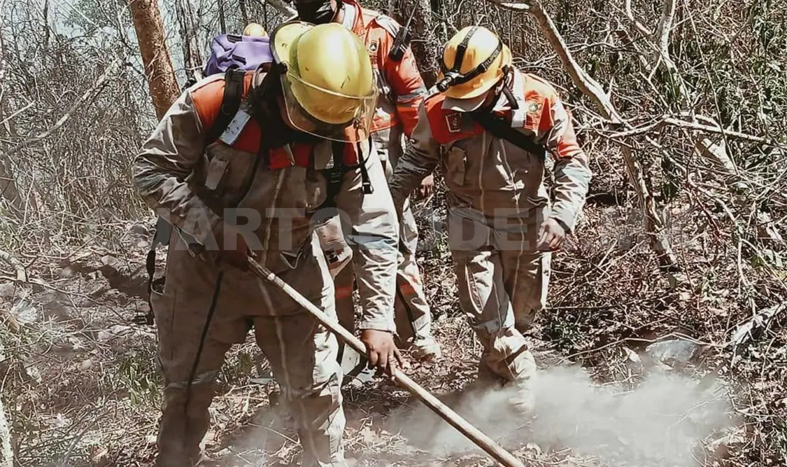 Brigadistas atacan incendio en el Cañón del Sumidero