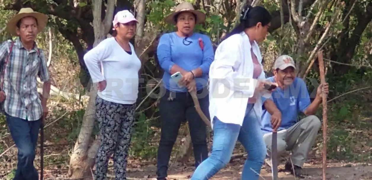 Denuncian a grupo armado por despojo de terreno
