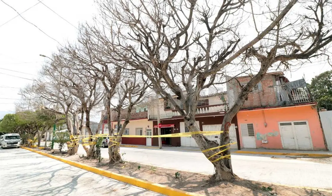 Retiran árboles secos para prevenir riesgos