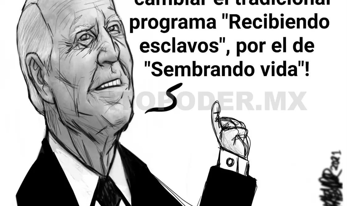 Causas de raíz