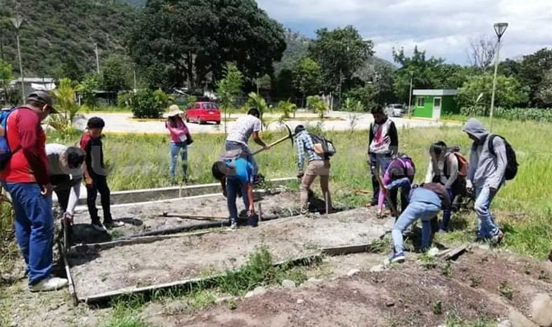 Ingenierías ambientales con amplio campo laboral