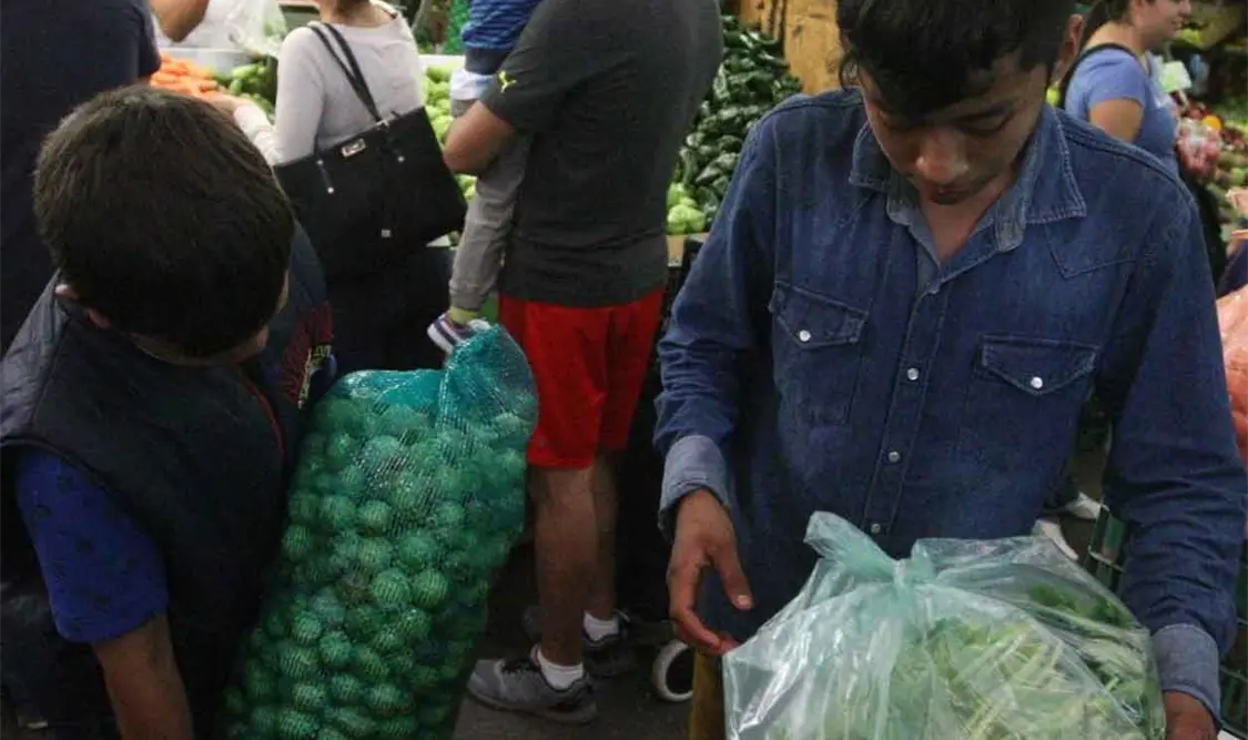 Laboran 801 mil 327 infantes en México