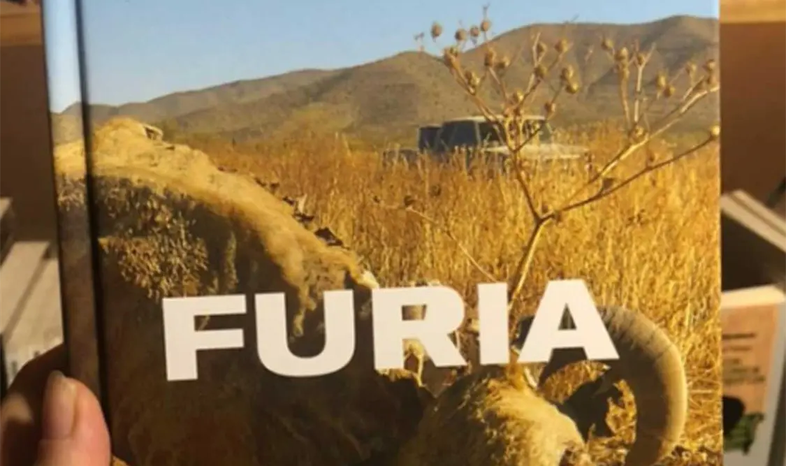 Furia. Cortesía
