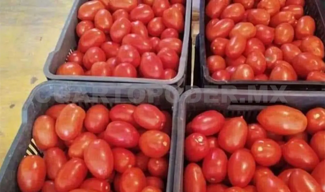 De acuerdo a la Sagyp, en la entidad el chile verde y el jitomate son los que más se producen. Cortesía