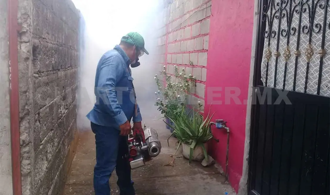 Mantienen acciones contra el dengue, zika y chikungunya