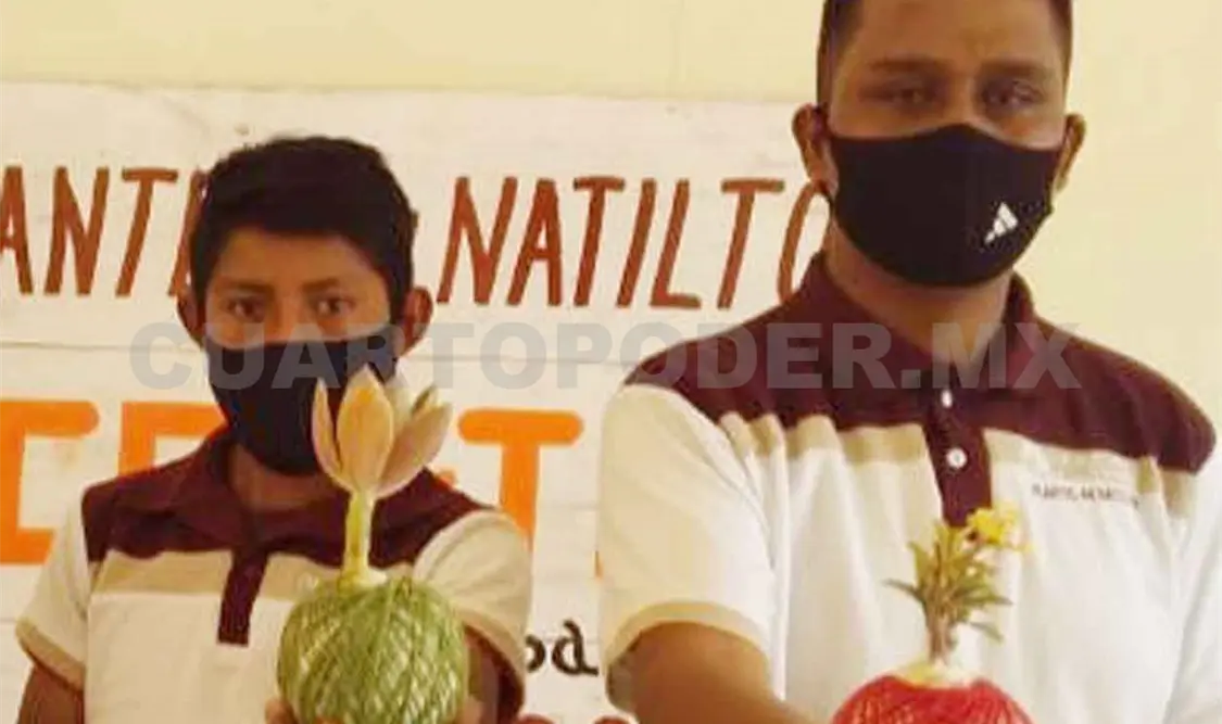 Desarrollan producción de plantas
