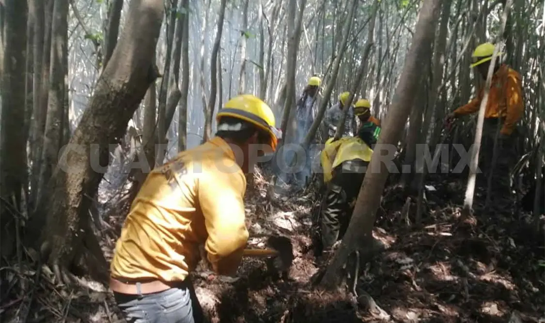 Incendios arrasaron más de tres mil hectáreas de tulares