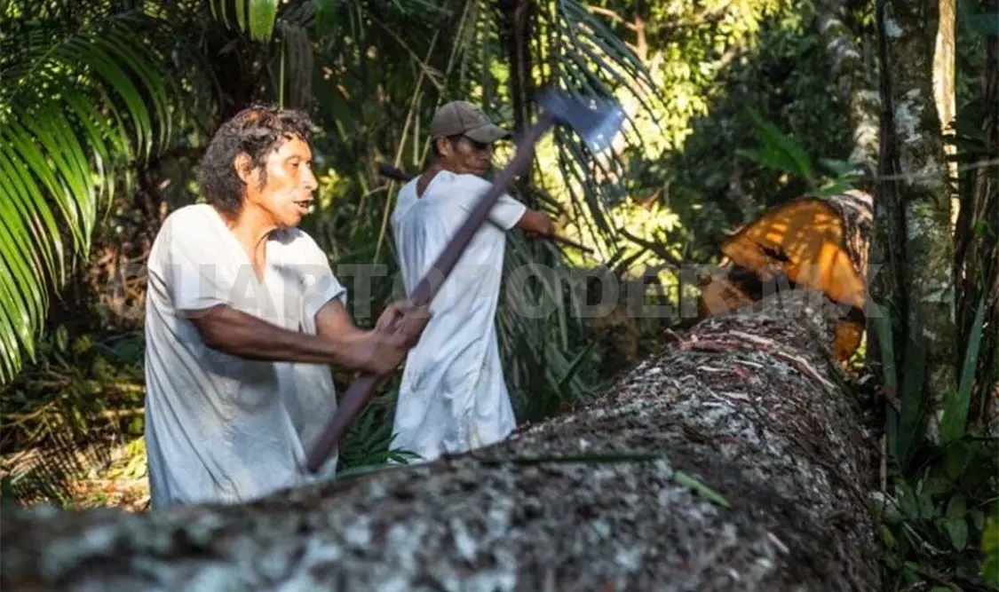 Presentarán documental sobre la canoa lacandona